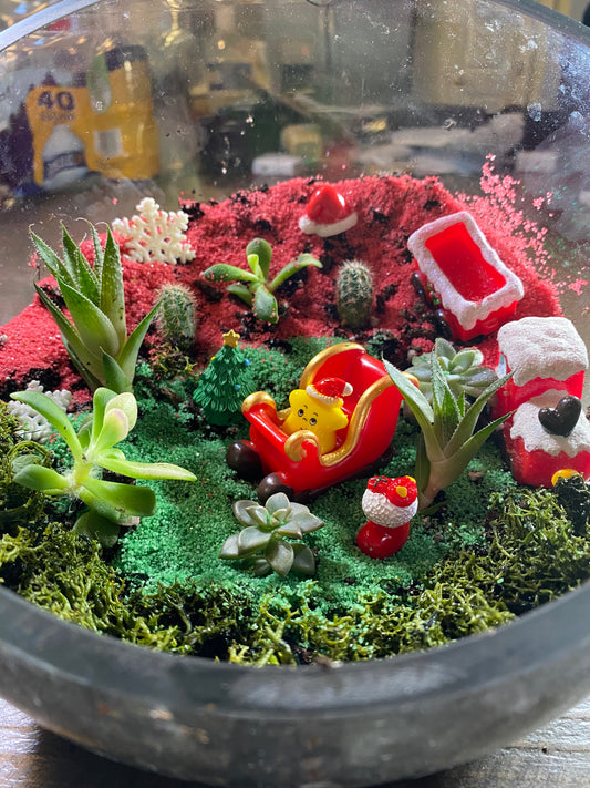 Holiday Themed DIY Terrarium Kit Gift Set