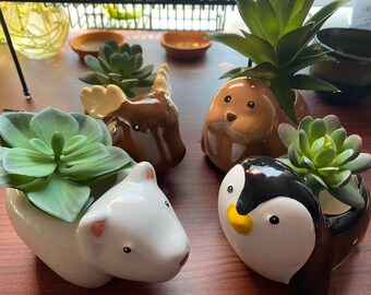Ceramic Animal Planter with live Succulents 2” pots