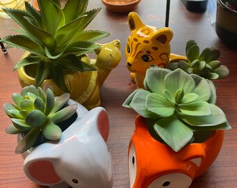 Ceramic Animal Planter with live Succulents 2” pots