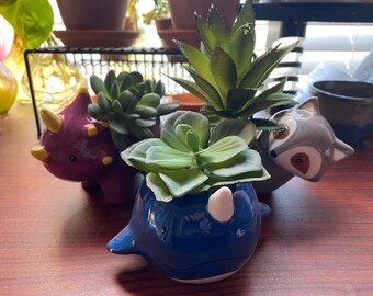 Ceramic Animal Planter with live Succulents 2” pots