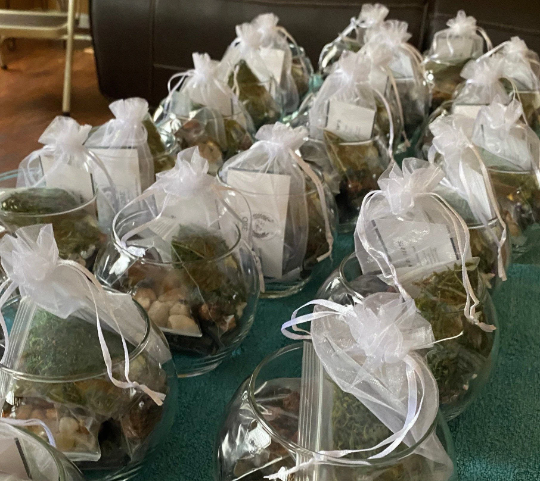 Bulk Order Terrarium Kit