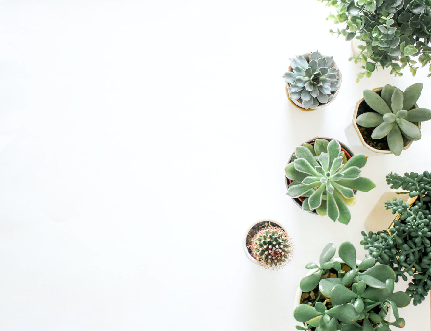 Planting Productivity Workshop