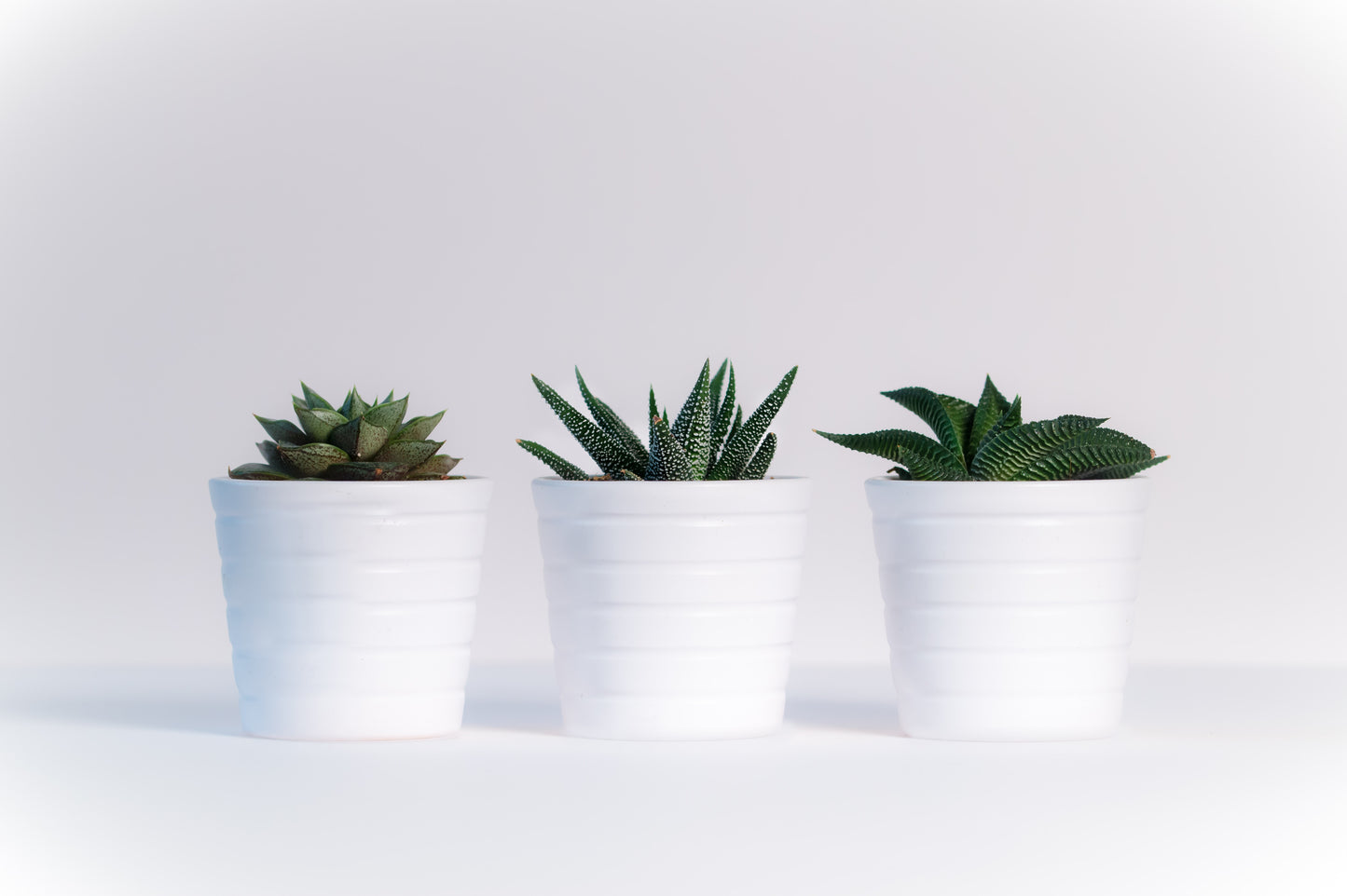 Planting Productivity Workshop
