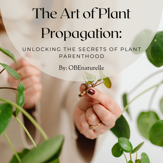 The Art of Plant Propagation: Unlocking the Secrets of Plant Parenthood