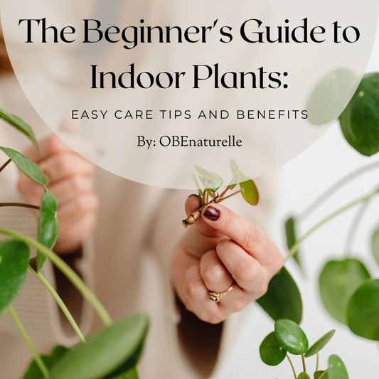 The Beginner's Guide to Indoor Plants: Easy Care Tips and Benefits