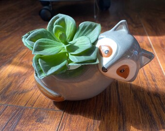 Ceramic Animal Planter with live Succulents 2” pots
